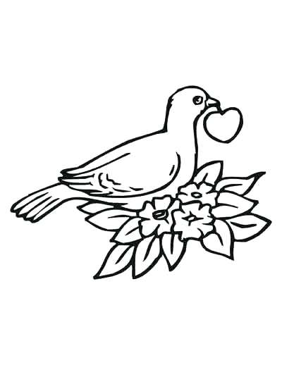 400x518 Coloring Books For Children In Format Coloring Book For Birds