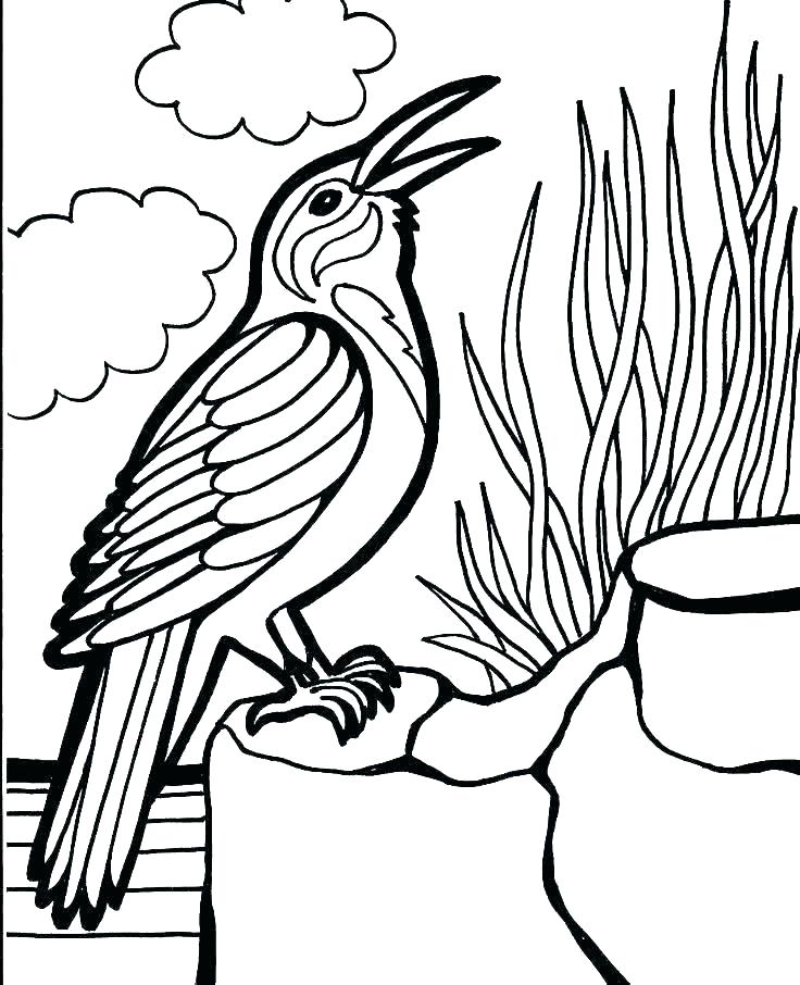 736x906 Coloring Pages Of Birds Bird Coloring Pages Birds Colouring Love