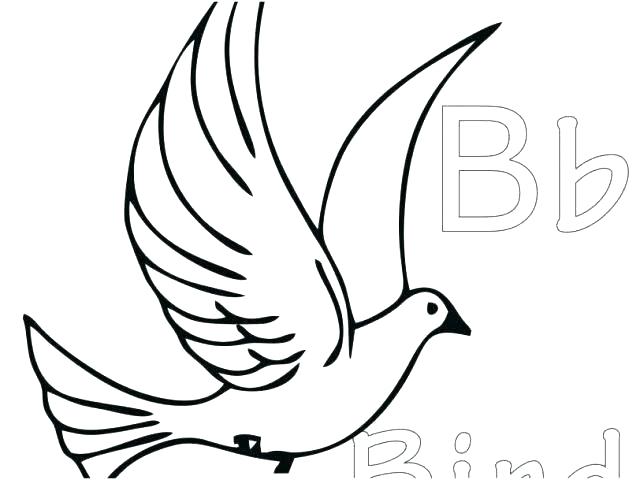 640x480 Coloring Pages Of Tweety Bird Tunes G Pages Bird And Baby