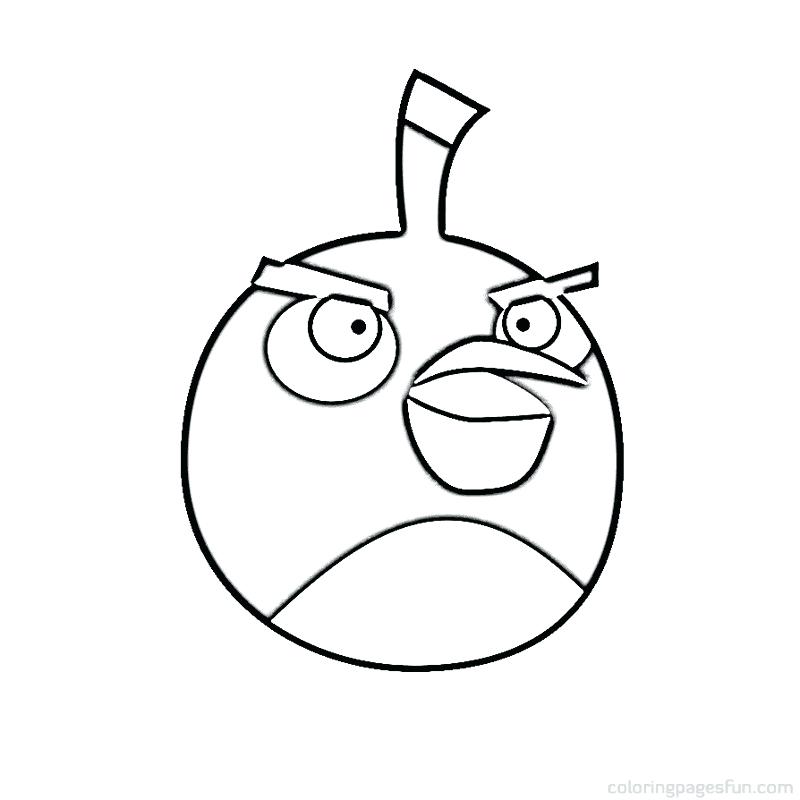 800x800 Angry Bird Colouring Pictures To Print Angry Birds Coloring Pages