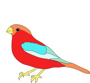 300x275 Pictures Of Birds To Colour