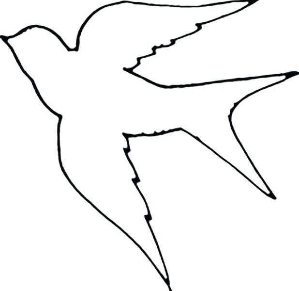 618x600 Ravishing Outline Of Birds Colouring To Funny Images Of Birds