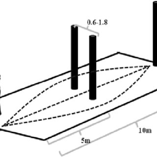 320x320 Birds Eye View Of The Experimental Set Up Including A M Path