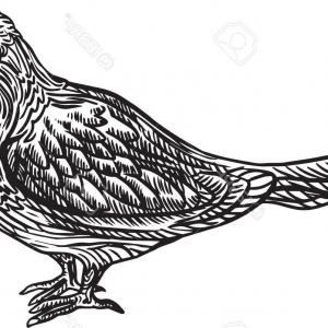 300x300 Birds Nest With Eggs Gm Sohadacouri