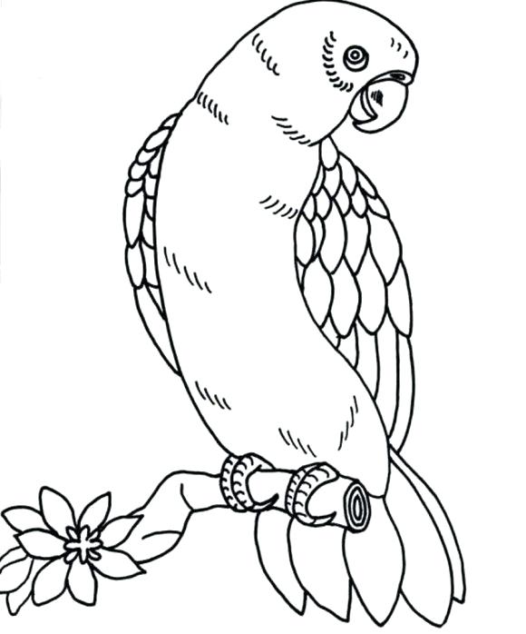 580x698 Coloring Pages Bird Birds Nest Drawing At Free For Personal Use