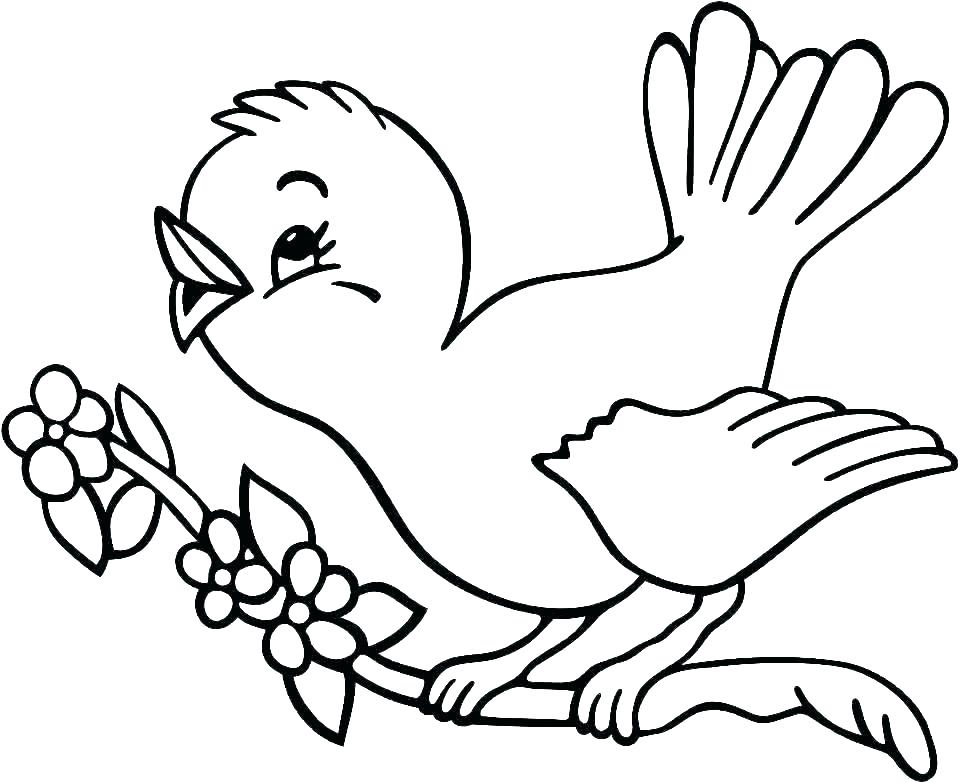 960x783 Free Coloring Pages Birds Species Included In Bird Coloring Book