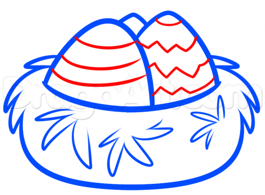 520x382 Learn How To Draw A Bird Nest, Birds, Animals, Free Step