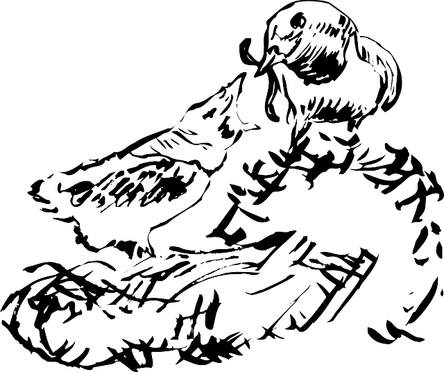 640x536 Nest Drawn Bird Transparent Png Clipart Free Download