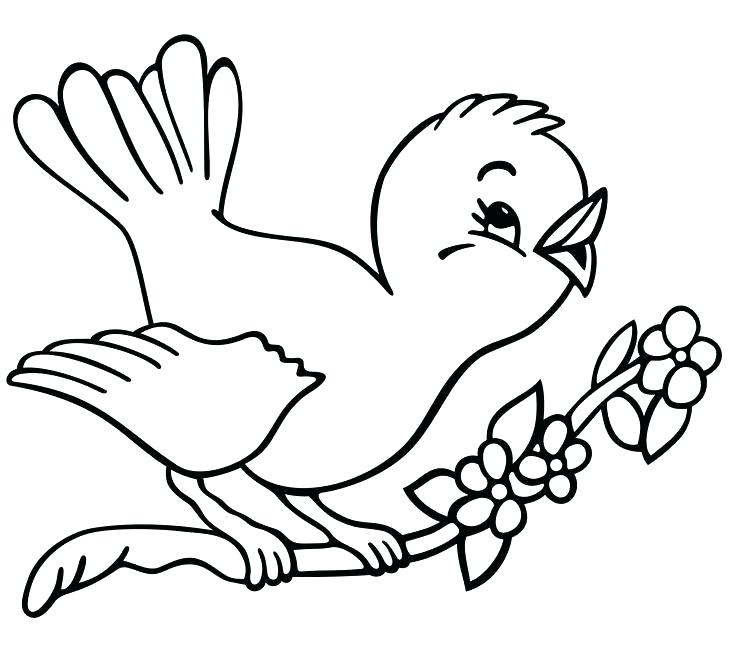 736x645 Outline Drawings Of Shop Library Dove Bird Images Birds Buy Clip