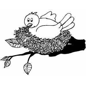 300x300 Bird Nest Coloring Page
