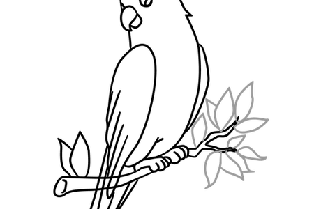 450x300 Collection Of Free Birds Drawing Tree Download On Ui Ex