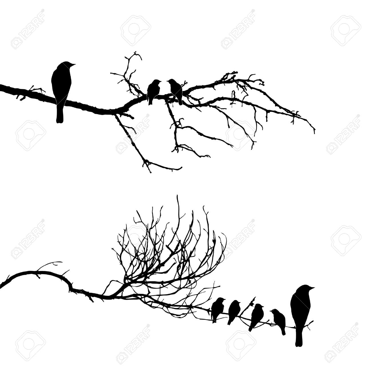 1300x1300 Huge Collection Of 'bird On Tree Silhouette' Download More Than