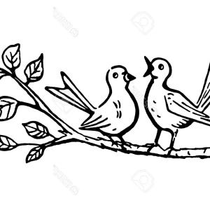 300x300 Angry Bird Clipart Black And White Sohadacouri