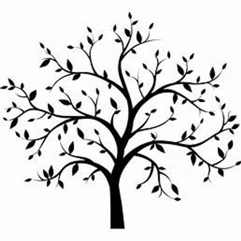 794x794 Women's Vinyl T Shirts Birds Tree Flowers Rose Vines Etsy