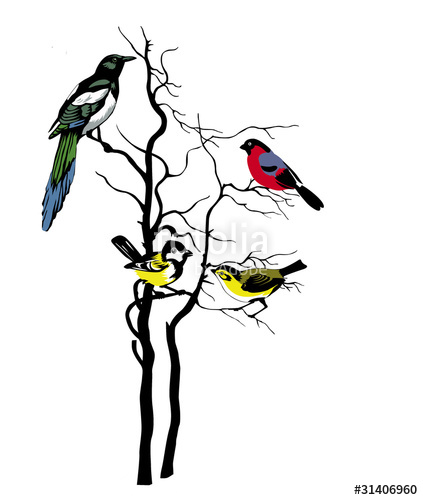 423x500 Silhouette Of The Birds On Tree Stock Photo And Royalty Free