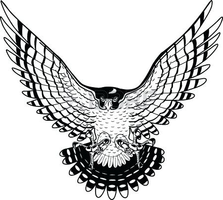 450x404 falcon head drawing peregrine falcon illustration falcon head
