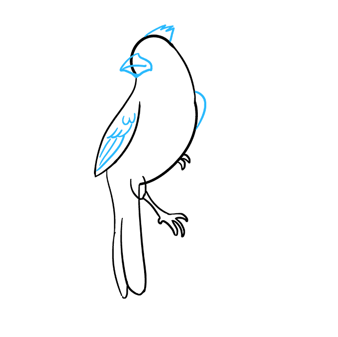 680x678 How To Draw A Cardinal Bird