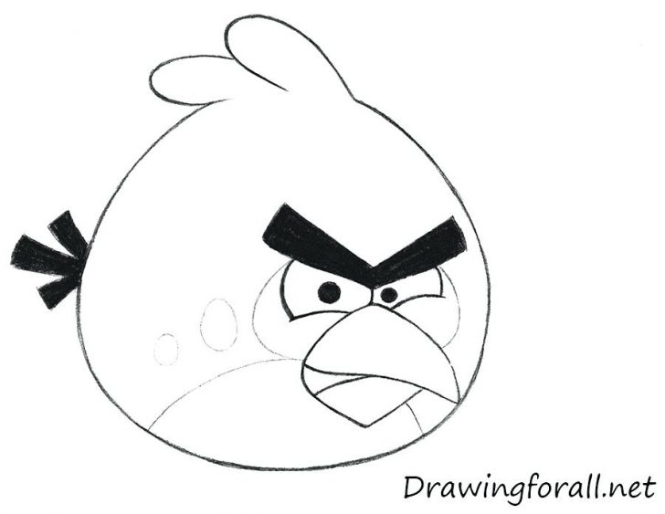728x563 Angry Birds Pig Coloring Pages King For Kids Unicorn Adults Disney