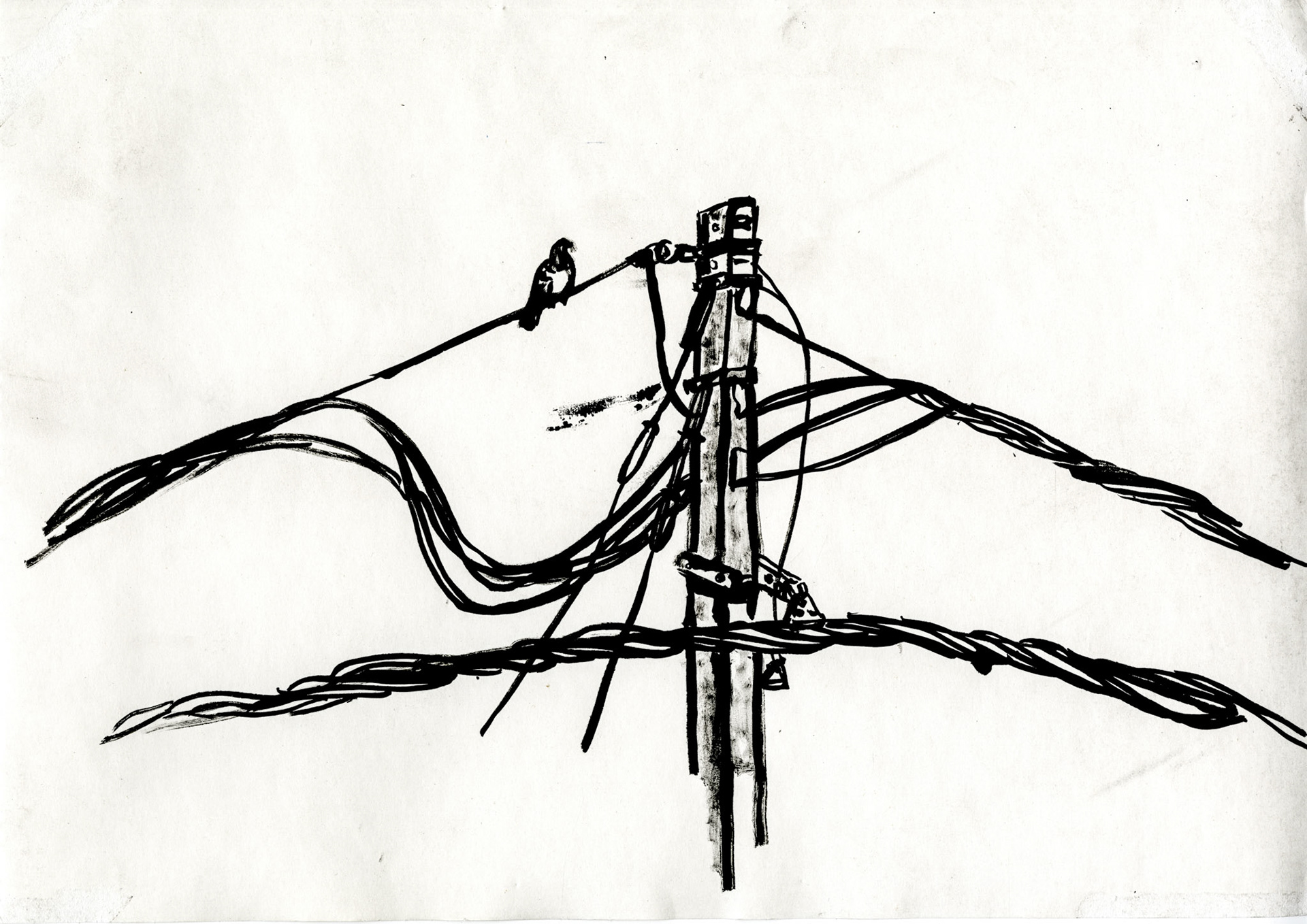 Biro Drawing | Free download on ClipArtMag