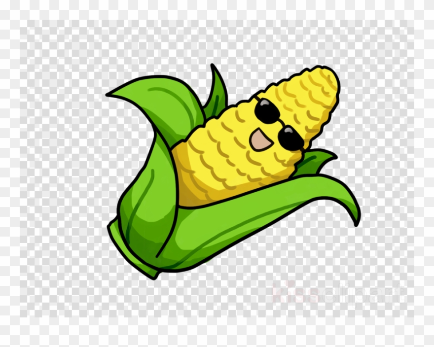 880x704 Download Corn Drawing Transparent Clipart Corn