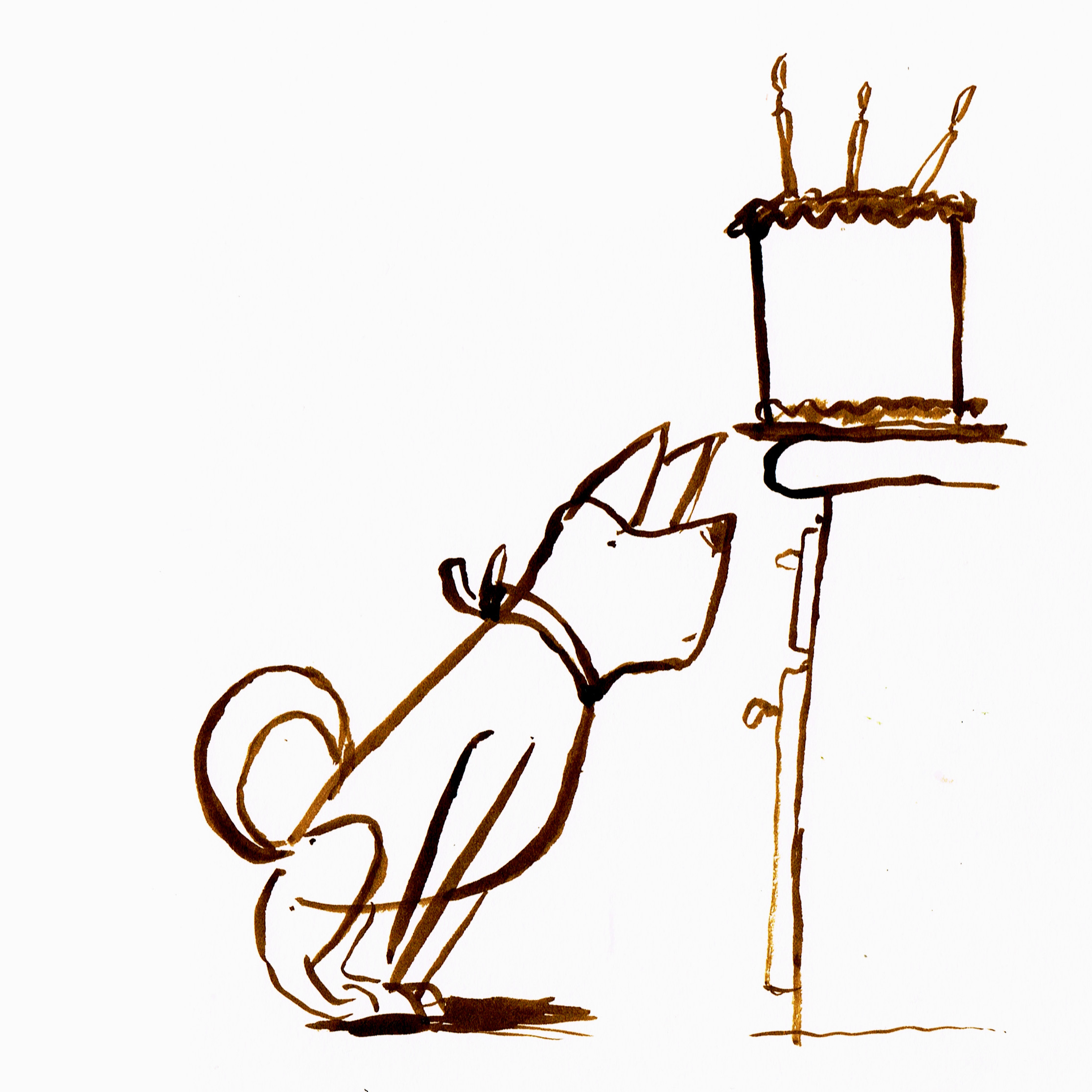 2231x2231 Biscuit Is Hungry