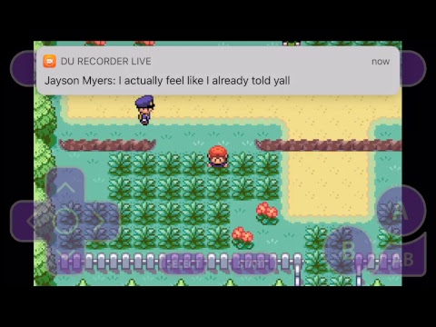 480x360 Drawing Biscuit Stream