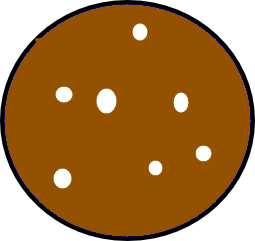 255x241 biscuit clicker tynker