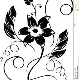 336x336 black and white flower drawing tattoo aster vector botanical easy