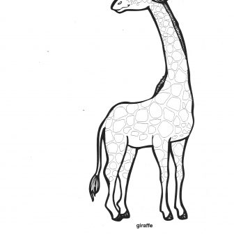 336x336 Cute Animals To Draw Black And White Tags Animal Drawing Angel