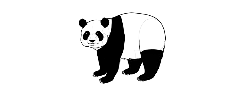 850x314 How To Draw A Panda Step