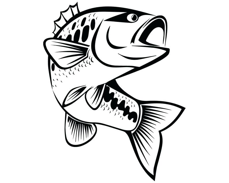 794x635 Drawings Of Fishes And Sea Animals