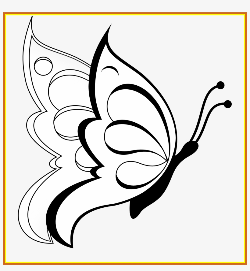 820x886 Shocking Butterfly Clipart Black White Line Art Coloring