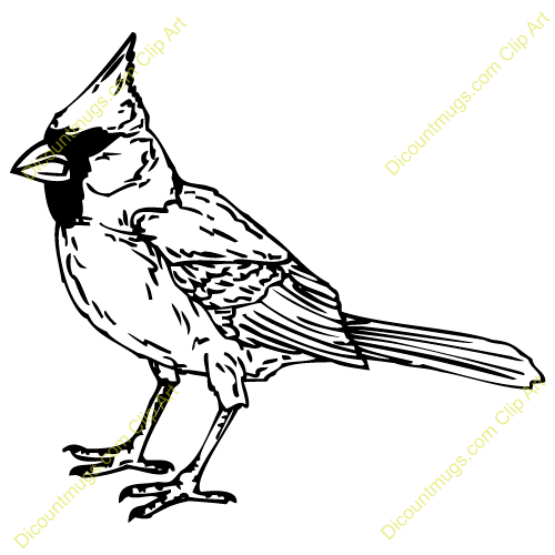 500x500 Black And White Cardinal Clipart Collection