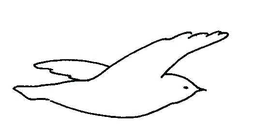 531x268 Simple Bird Drawing Click The Image To Enlarge Simple Bird Drawing