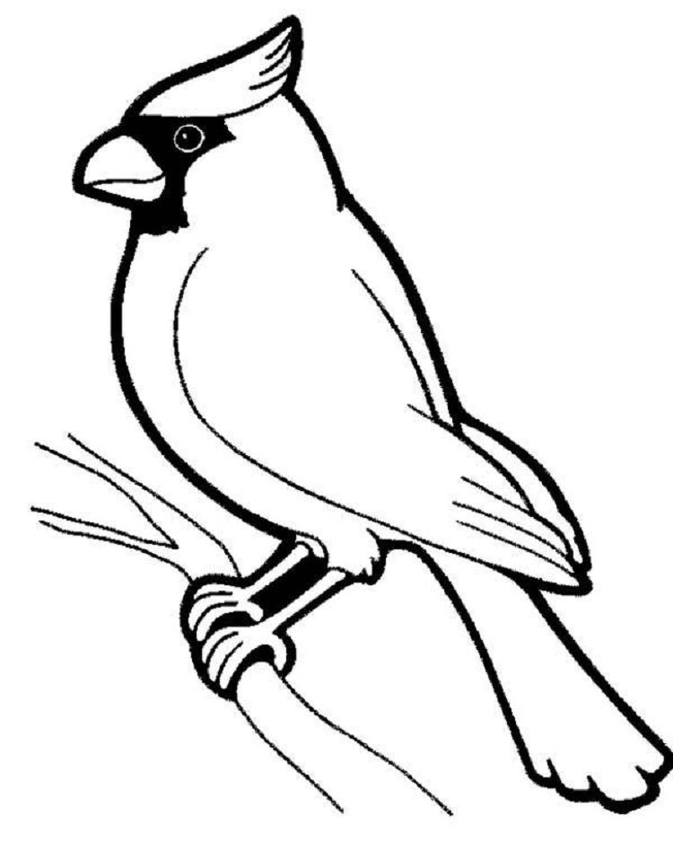 750x938 Black And White Bird Coloring