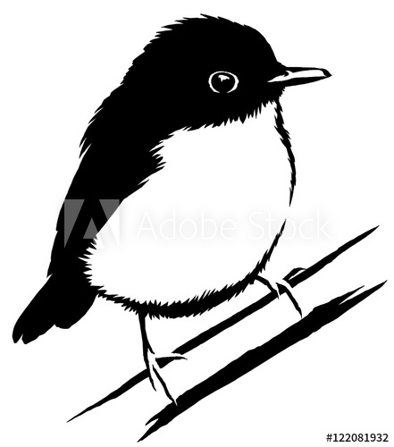 441x500 Black And White Linear Paint Draw Sparrow Bird Illustration