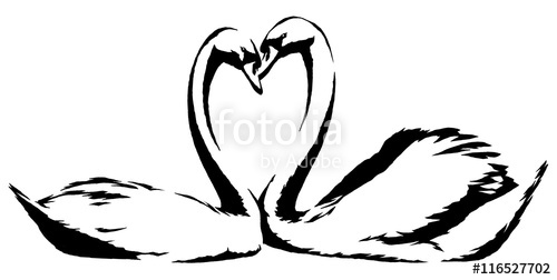 500x252 Black And White Linear Paint Draw Swan Bird Illustration Stock