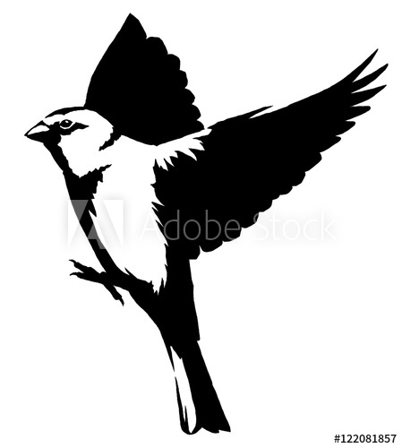449x500 Black And White Linear Paint Draw Tit Bird Illustration