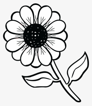 300x346 Daisy Flower Clipart Black And White