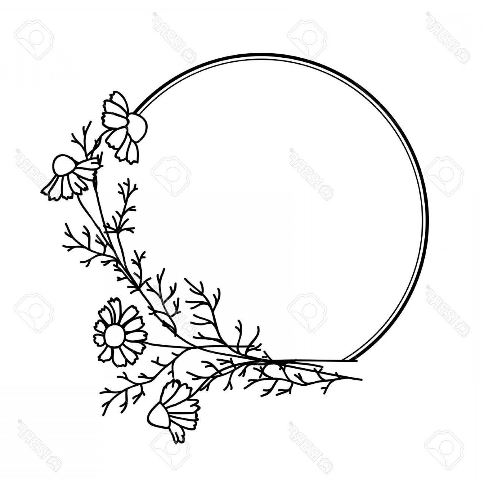 1560x1560 Sillhouette Vector E Art Daisy Sohadacouri