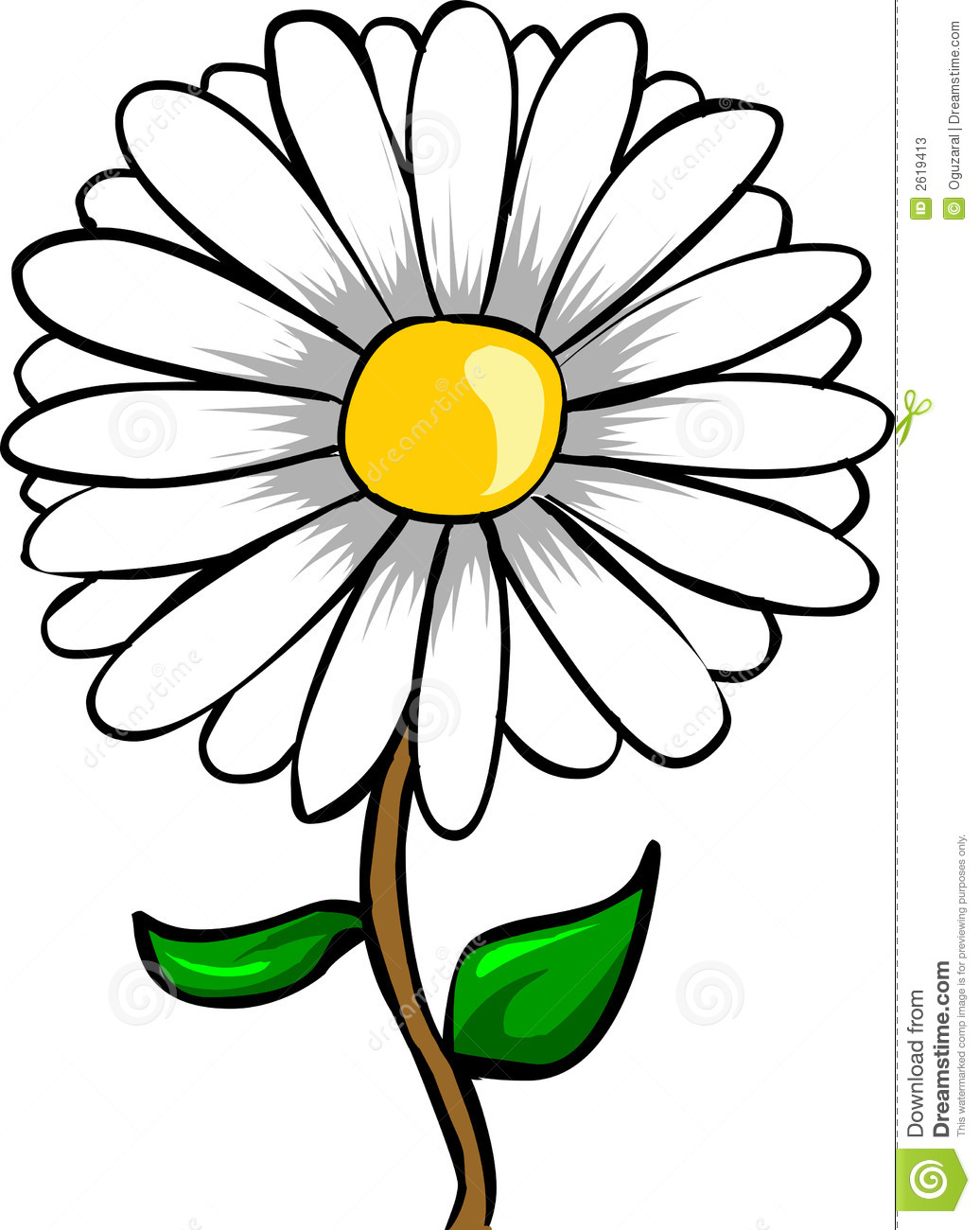 1036x1300 White Daisy Flower Clipart