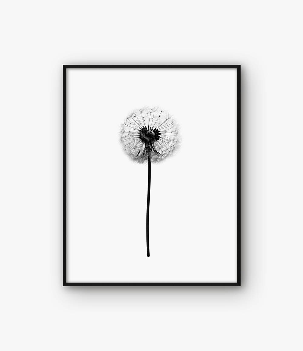 1000x1160 Dandelion Print Dandelion Wall Art Black And White Dandelion Etsy