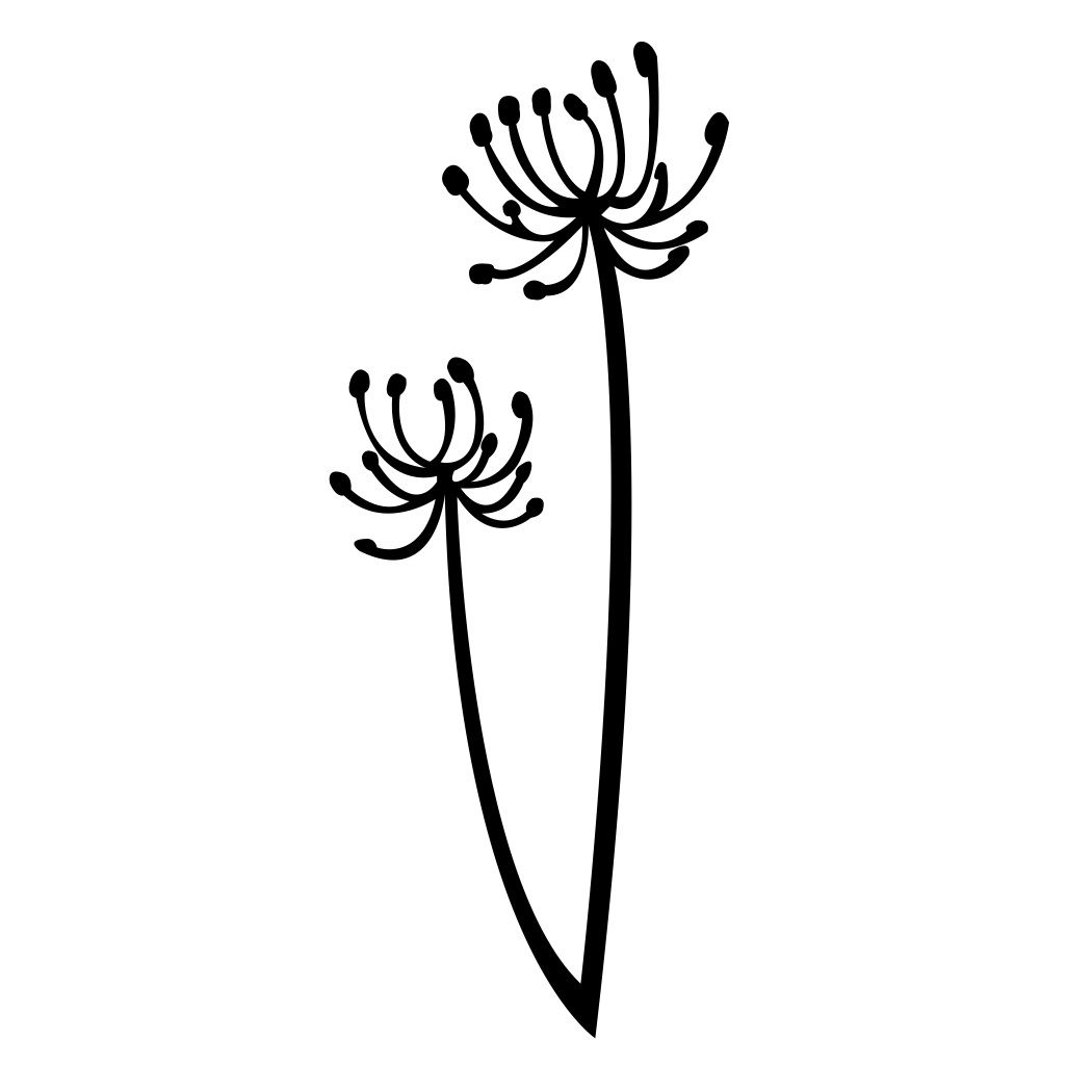 1050x1050 Dandelion Clipart