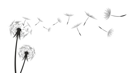 445x240 Drawing Stock Photos And Royalty Free Images, Vectors