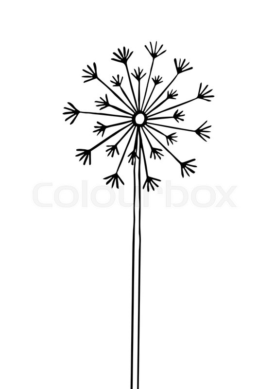 566x800 Hand Drawn Black Silhouette Dandelion Stock Vector Colourbox