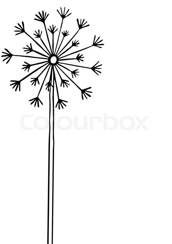 566x800 Hand Drawn Black Silhouette Dandelion On A White Background