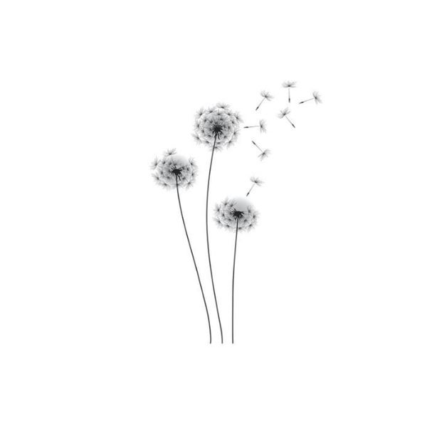 600x600 Shop Whimsical Dandelion Wall Vinyl
