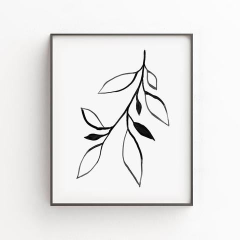 480x480 Black And White Downloads Gallery