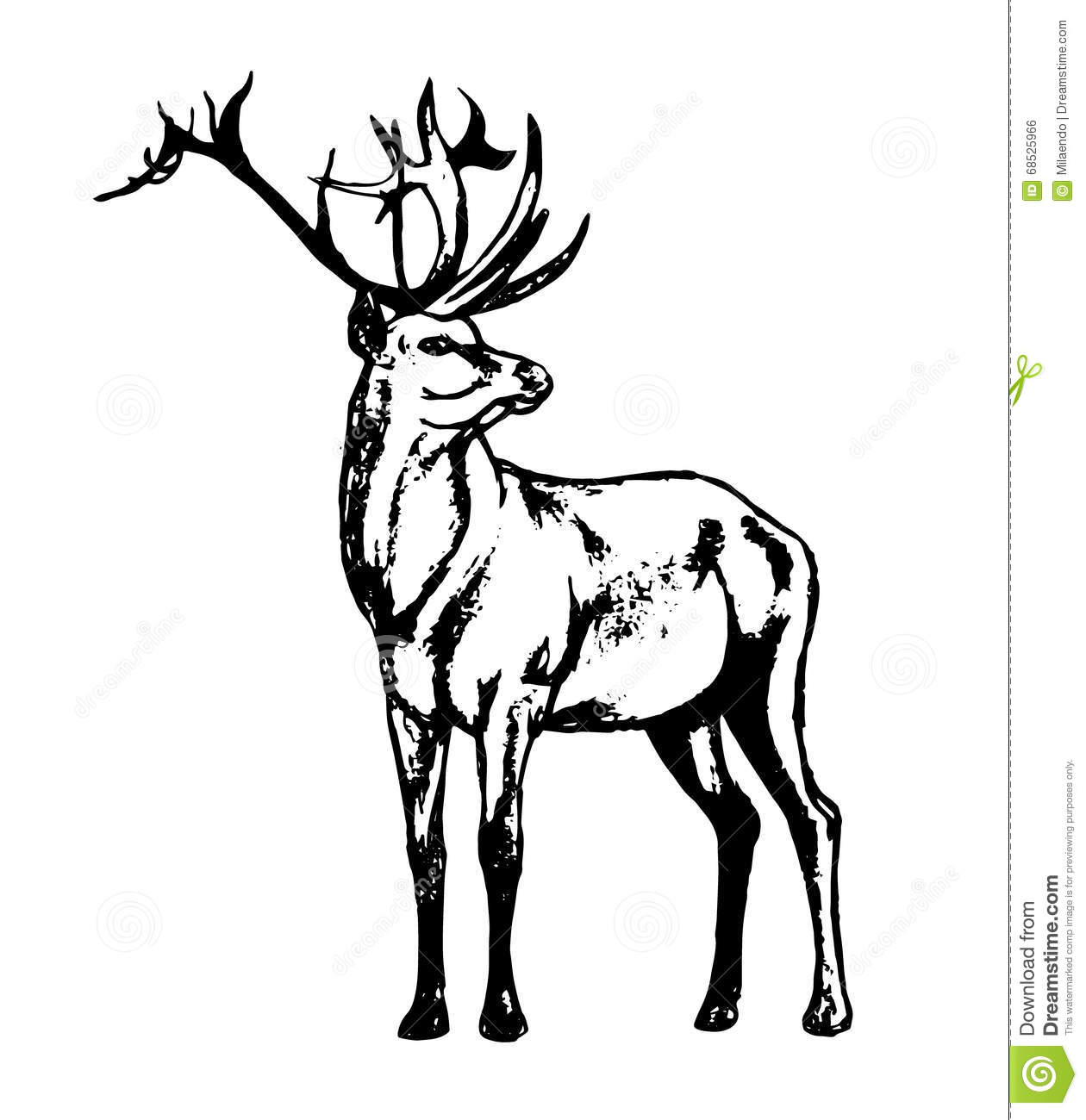 1260x1300 Forest Deer Clipart Black And White