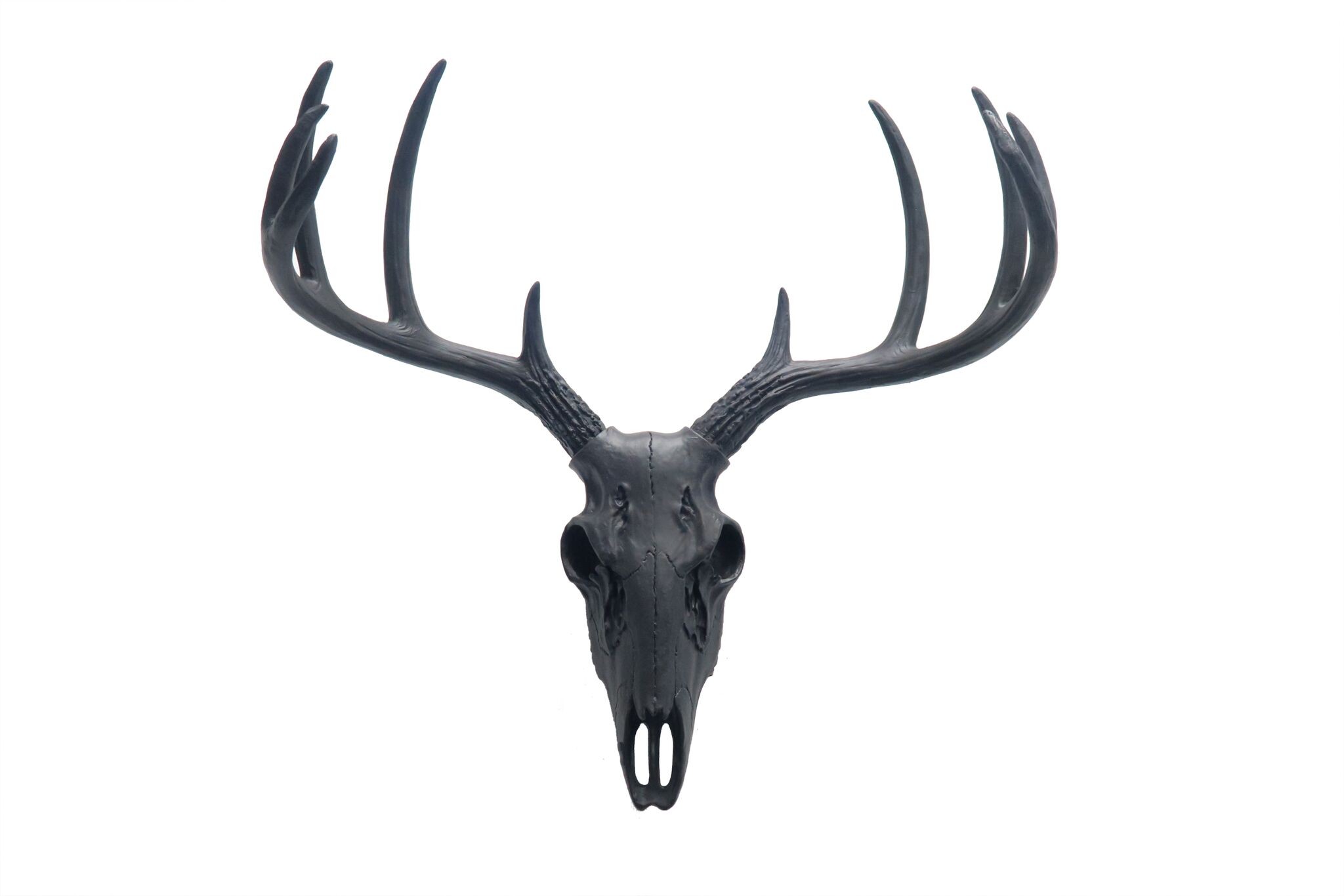 2048x1365 Mini White Deer Skull Black
